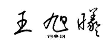 梁锦英王旭曦草书个性签名怎么写