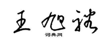 梁锦英王旭裕草书个性签名怎么写
