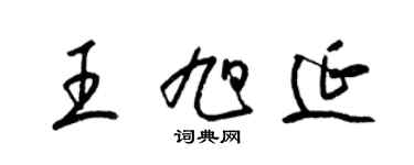 梁锦英王旭延草书个性签名怎么写