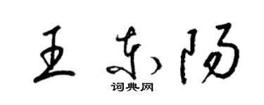 梁锦英王东阳草书个性签名怎么写