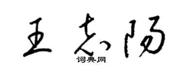 梁锦英王志阳草书个性签名怎么写