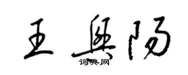 梁锦英王兴阳草书个性签名怎么写