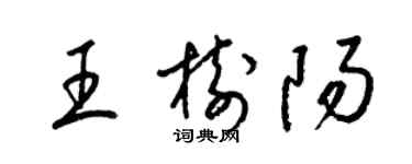 梁锦英王树阳草书个性签名怎么写