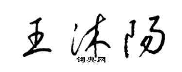 梁锦英王沐阳草书个性签名怎么写