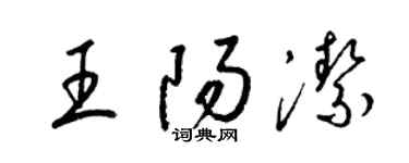 梁锦英王阳洁草书个性签名怎么写