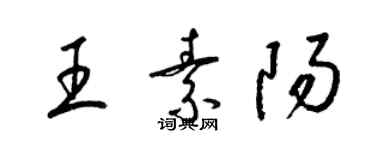 梁锦英王素阳草书个性签名怎么写