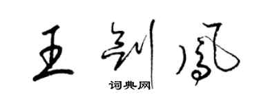 梁锦英王剑凤草书个性签名怎么写