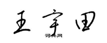 梁锦英王宇田草书个性签名怎么写