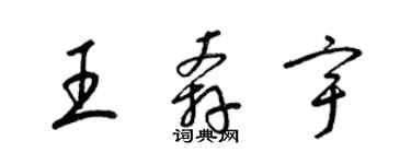 梁锦英王奔宇草书个性签名怎么写