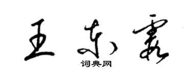 梁锦英王东霞草书个性签名怎么写