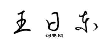 梁锦英王日东草书个性签名怎么写