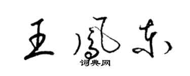 梁锦英王凤东草书个性签名怎么写
