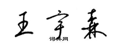 梁锦英王宇森草书个性签名怎么写