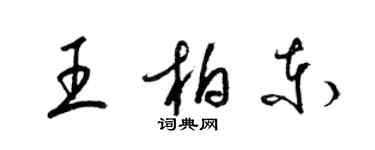 梁锦英王柏东草书个性签名怎么写