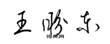 梁锦英王盼东草书个性签名怎么写