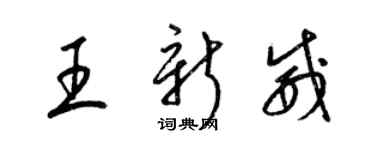 梁锦英王新威草书个性签名怎么写