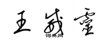 梁锦英王威灵草书个性签名怎么写