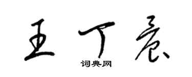 梁锦英王丁晨草书个性签名怎么写