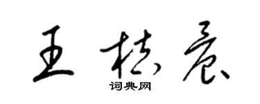 梁锦英王桔晨草书个性签名怎么写