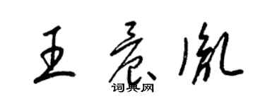 梁锦英王晨胤草书个性签名怎么写