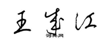 梁锦英王成江草书个性签名怎么写
