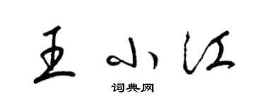 梁锦英王小江草书个性签名怎么写