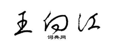 梁锦英王向江草书个性签名怎么写