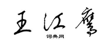梁锦英王江鹰草书个性签名怎么写