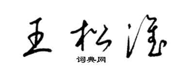 梁锦英王松淮草书个性签名怎么写