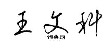 梁锦英王文科草书个性签名怎么写