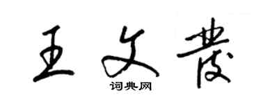 梁锦英王文发草书个性签名怎么写