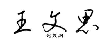 梁锦英王文思草书个性签名怎么写