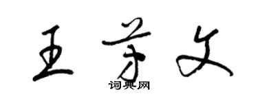 梁锦英王芳文草书个性签名怎么写