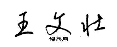 梁锦英王文壮草书个性签名怎么写
