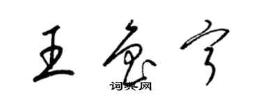 梁锦英王鲁宁草书个性签名怎么写