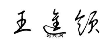 梁锦英王进领草书个性签名怎么写