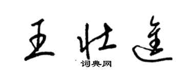 梁锦英王壮进草书个性签名怎么写
