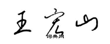 梁锦英王宏山草书个性签名怎么写