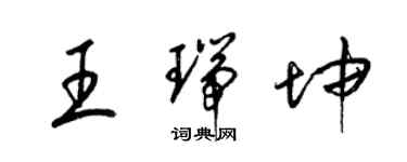 梁锦英王瑞坤草书个性签名怎么写