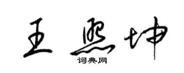 梁锦英王照坤草书个性签名怎么写