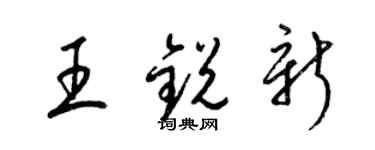 梁锦英王锐新草书个性签名怎么写