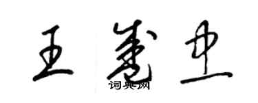 梁锦英王盛忠草书个性签名怎么写