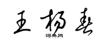 梁锦英王杨春草书个性签名怎么写