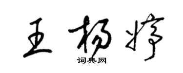 梁锦英王杨婷草书个性签名怎么写