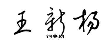 梁锦英王新杨草书个性签名怎么写
