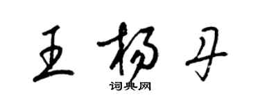 梁锦英王杨丹草书个性签名怎么写