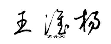梁锦英王淮杨草书个性签名怎么写