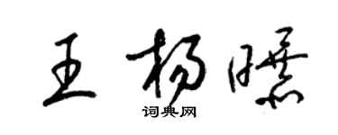 梁锦英王杨曝草书个性签名怎么写