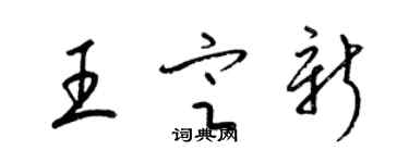 梁锦英王定新草书个性签名怎么写