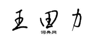 梁锦英王田力草书个性签名怎么写